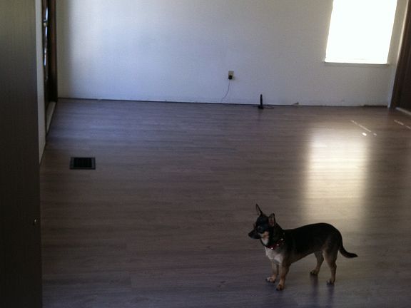 New floors in the master