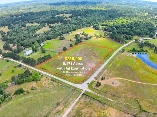 Homestead Cir, Paige, TX 78659