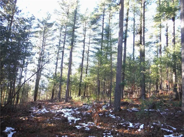 0 Adams Hill Rd #23, Croghan, NY 13327