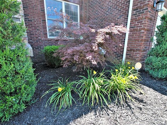 4th image of 11206 Radleigh Ln