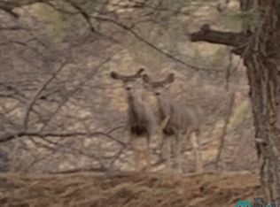 Nhn Pie Town Rd, Datil, NM 87821