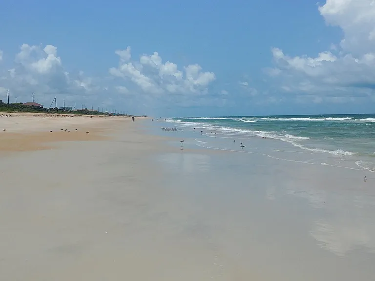 The beach in Ormond looking north