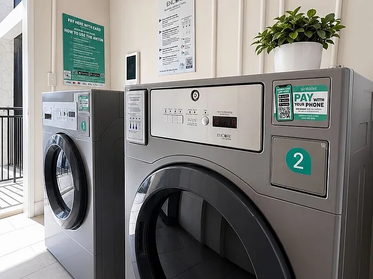 Modern laundry room with sleek coin-operated washers, bright natural light, and a touch of greenery.