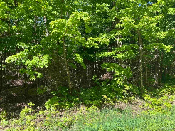 County Road 510 Lot 5, Negaunee, MI 49866