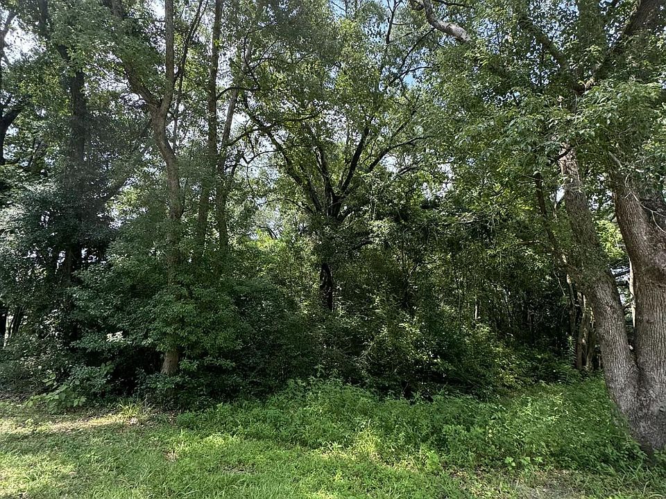 2nd image of Cook Ave