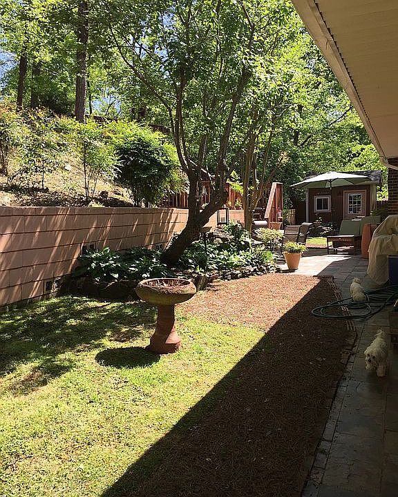 Back yard