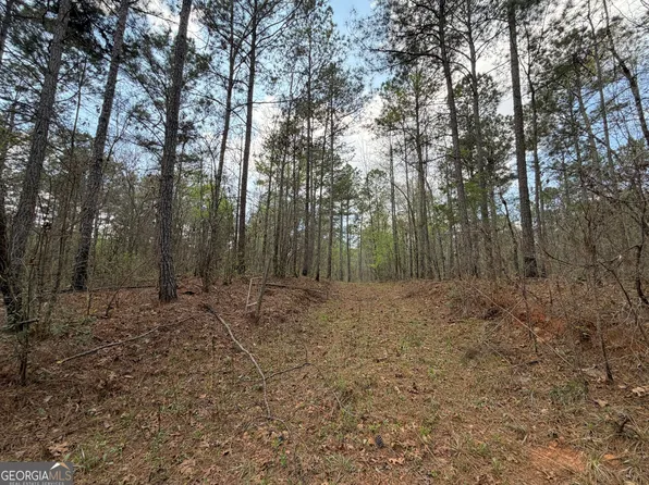 Davis Lake Rd, Pine Mountain, GA 31822