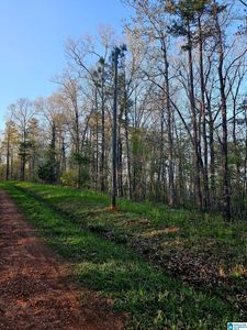 0 Pointe South Dr #60-61, Wedowee, AL, 36278