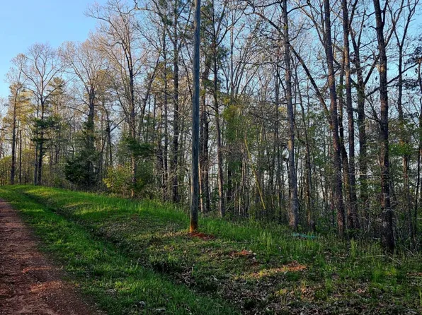 0 Pointe South Dr #60-61, Wedowee, AL 36278