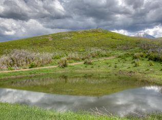 19 Raspberry Mountain Rnch, La Veta, CO 81055