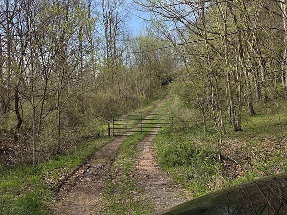 2nd image of Crooked Fork Rd
