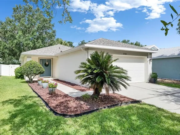 11728 Crest Creek Dr, Riverview, FL 33569