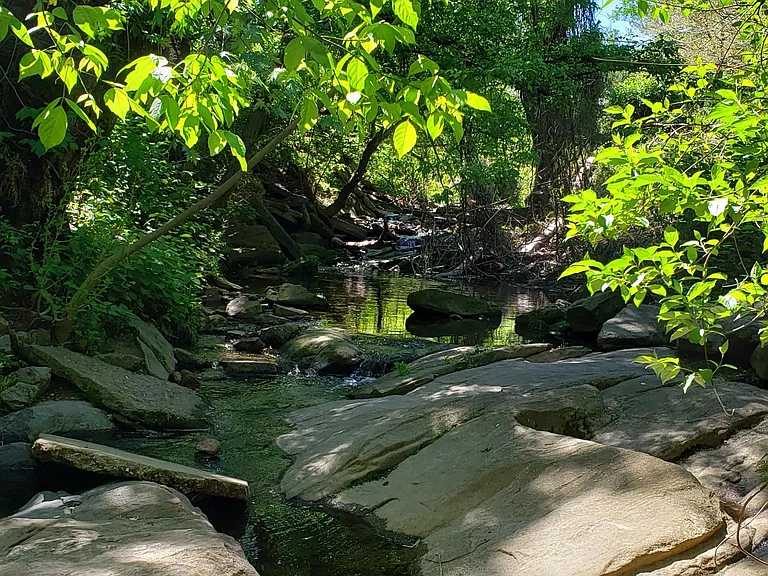 Cumberland Cir — Photo 16