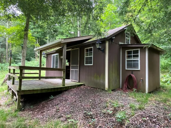 2911 Texas Hollow Rd, Odessa, NY 14869