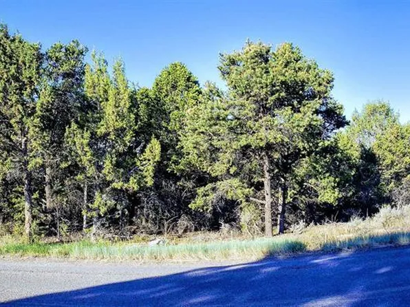 Lot 2 2550 Road, Cedaredge, CO 81418