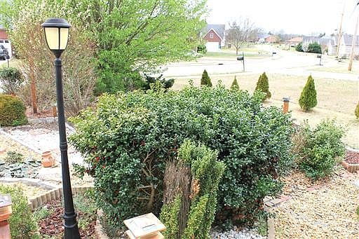 3rd image of 2937 Greentree Dr