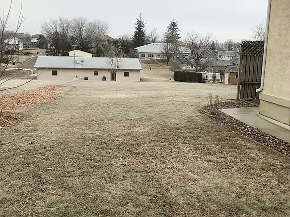 Back yard 