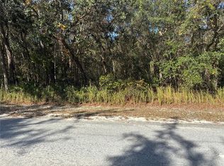 Arrowrock St LOT 12, Webster, FL 33597