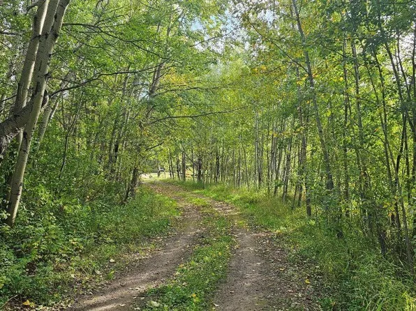 2415 Township Rd #521, Parkland County, AB T0E 0H0