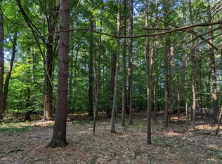 V/l Meadowview Trl #128, Custer, MI 49405