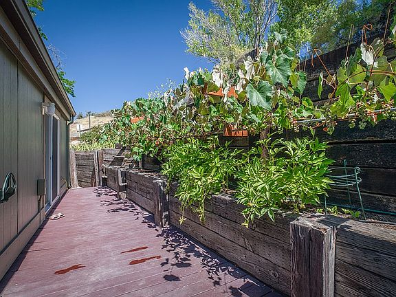 Deck with Concord Grape Vine