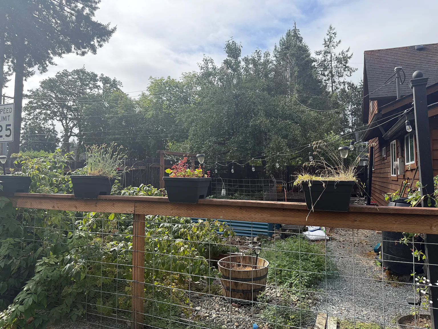 3 bed, 1270 sqft, $2,800 — Photo 3