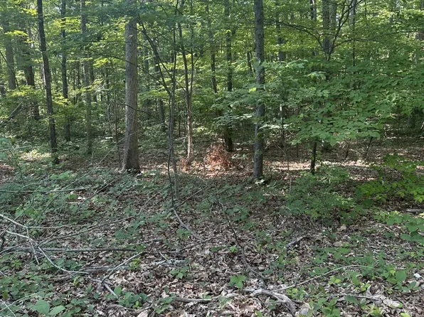 Prettiest Sunset Way Lot 3, Seymour, TN 37865