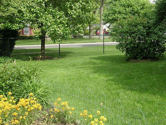 Side yard 