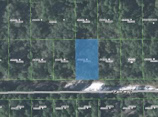 124 Palm Way, Georgetown, FL 32139