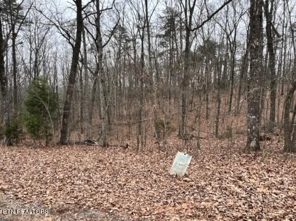 Laurel Mountain Rd, Madisonville, TN 37354
