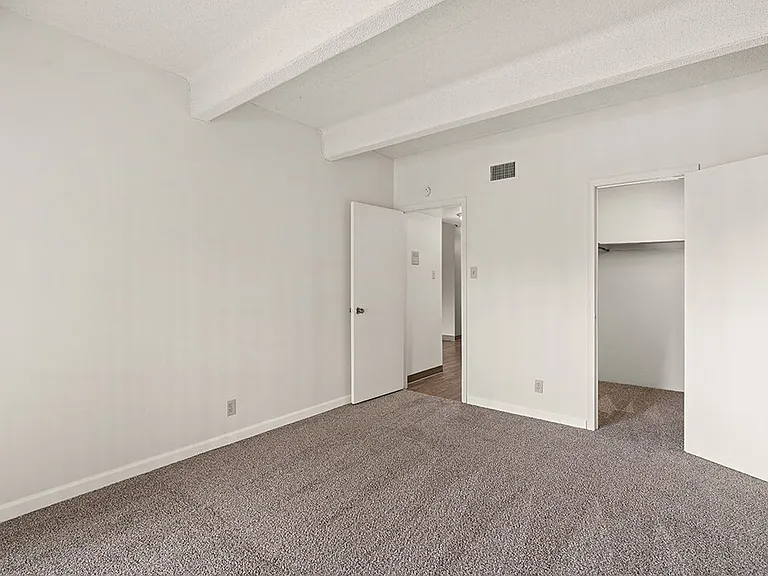 Bedroom with Walk-in Closet