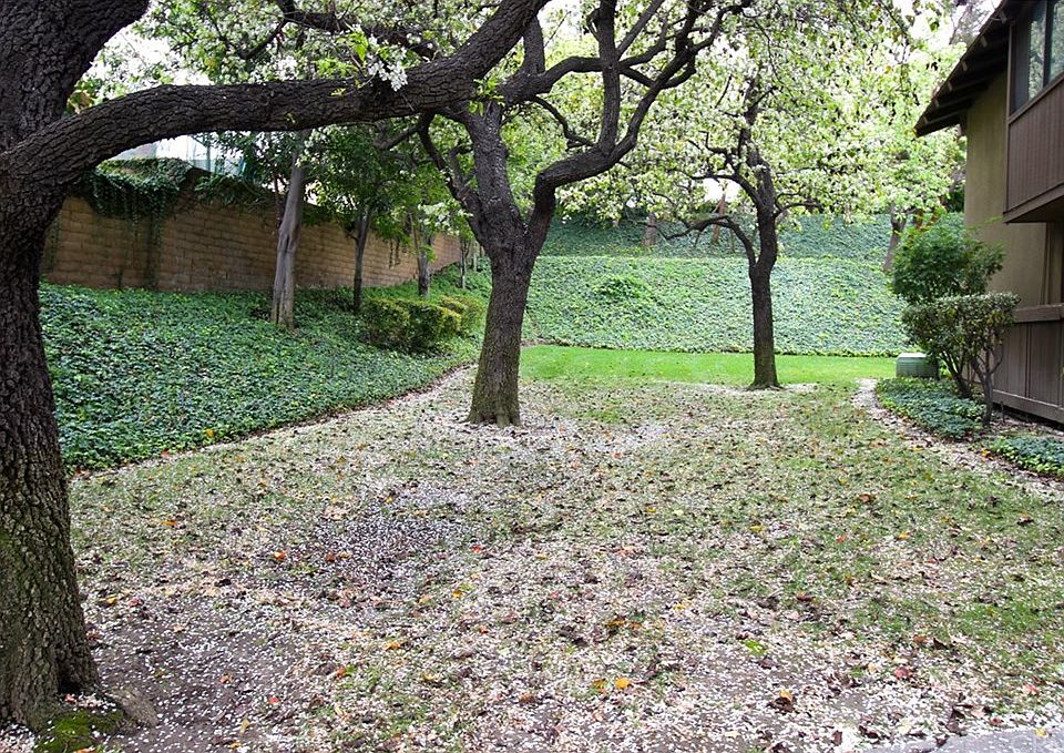 1st image of 13116 La Jolla Cir Unit D