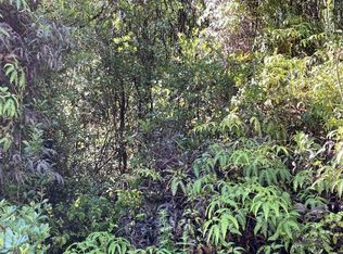 Thorne St, Mountain View, HI 96771