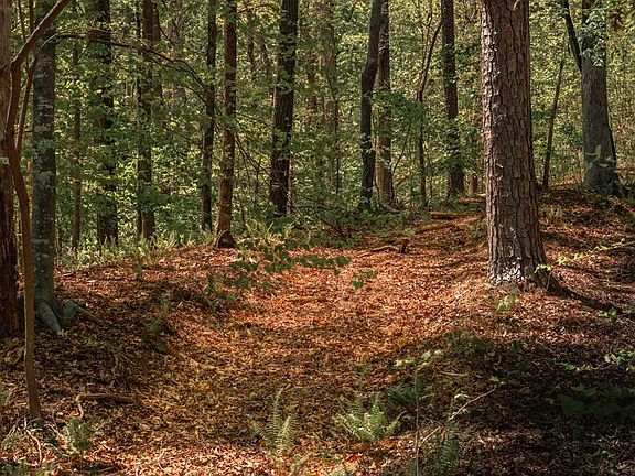 5th image of 0 Hancock Mountain Trl