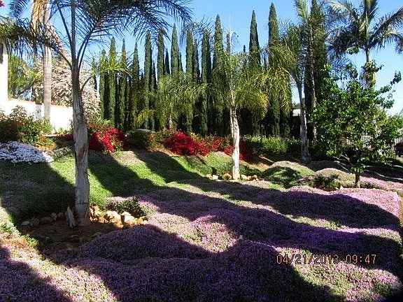Exterior East Side Yard