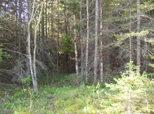 3315 Nye Rd, Hessel, MI 49745