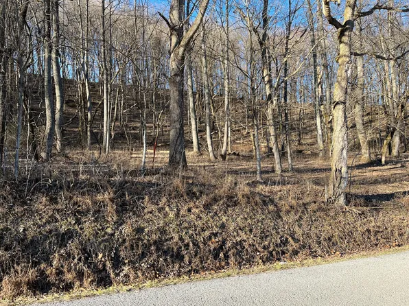 0 Thompson Hill Rd Lot 2, Bethpage, TN 37022