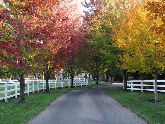 Front Driveway