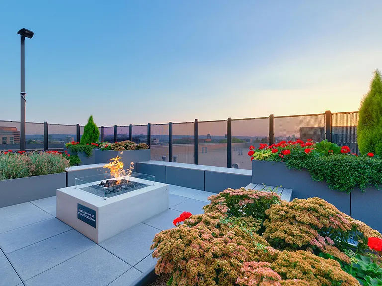 Angelo Tower rooftop