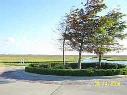 3rd image of 29 Isla Morada