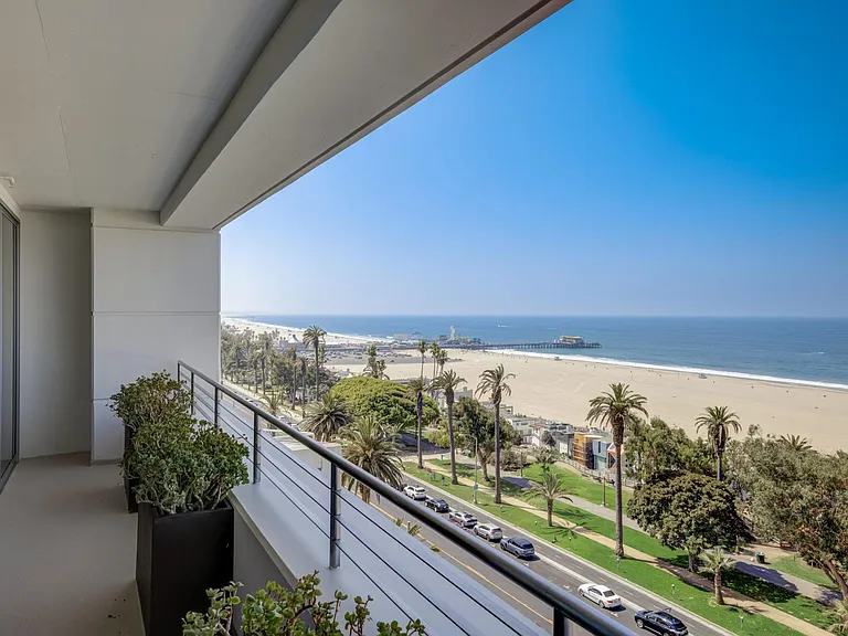 View from the patio