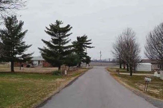 2nd image of 29 Harlene Dr