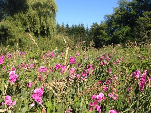 18913 Vashon Hwy SW #Rv, Vashon, WA 98070