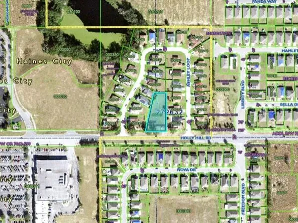 Holly Hill Rd, Davenport, FL 33837