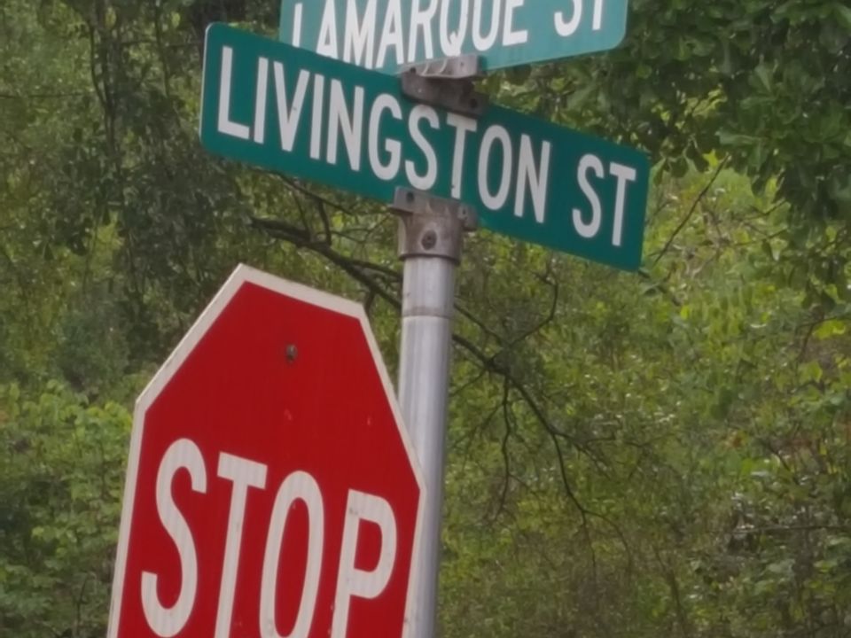 2nd image of Lamarque