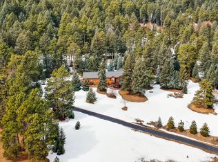 8141 Homesteader Dr, Morrison, CO 80465