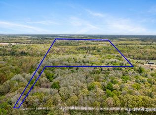 15320 Larsen Ave NE, Gowen, MI 49326