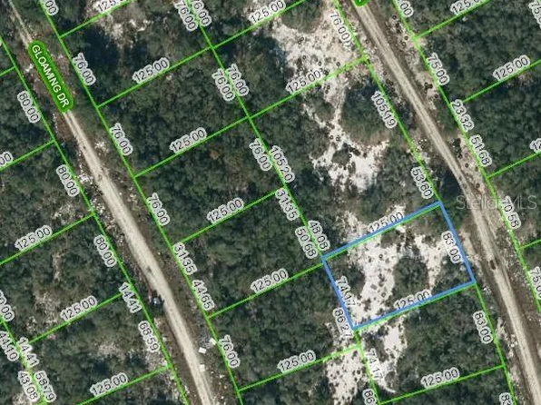 210 Briarway Dr #6, Lake Placid, FL 33852