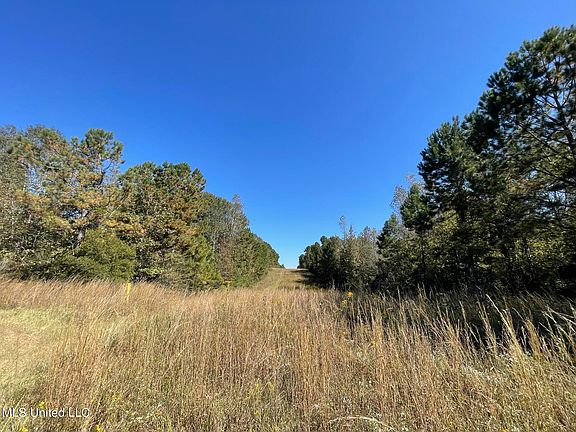 3rd image of Mason Creek Rd
