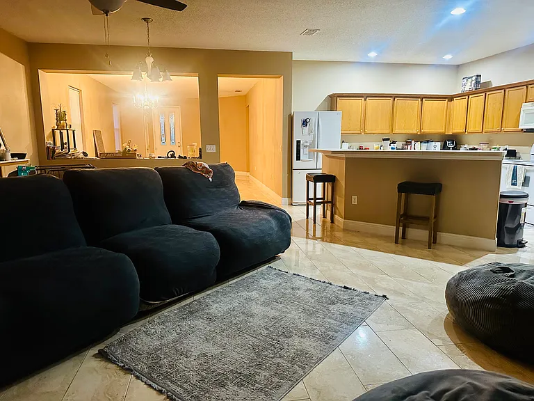 2457 Guiana Plum Dr — Photo 3
